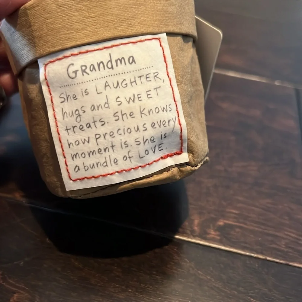 Grandma faux succulent plant